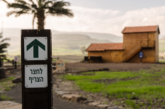 אום ג'וני
