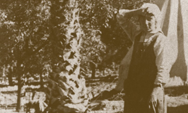 רחל המשוררת